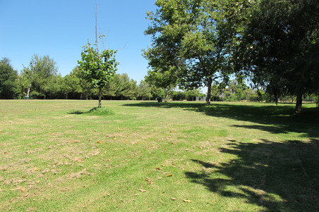 Enlarge photo 31