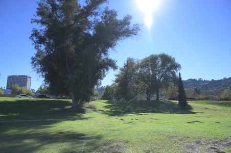 Weddington Park