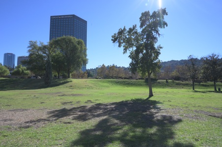 Enlarge photo 7