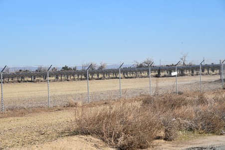 Enlarge photo 27