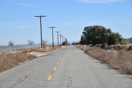 telephone pole ideas