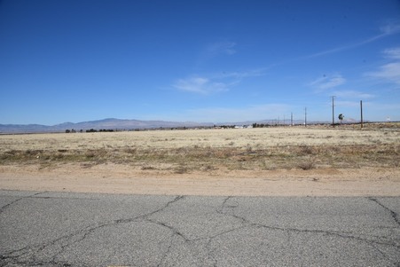 Enlarge photo 38