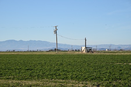 Enlarge photo 2