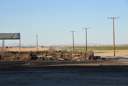 Enlarge photo 16
