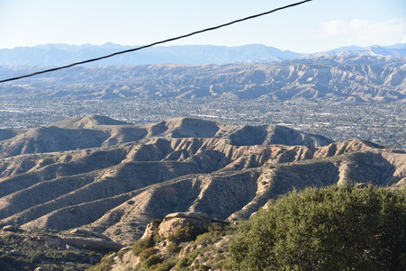 Enlarge photo 61
