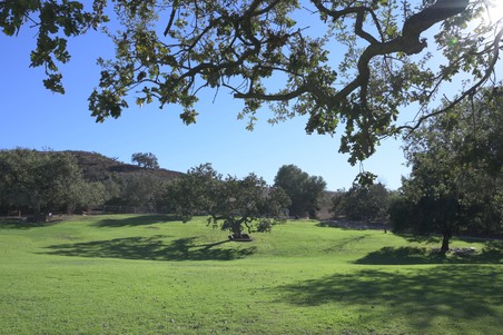 Enlarge photo 18