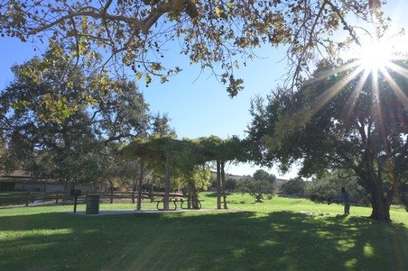 Enlarge photo 22
