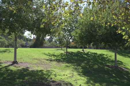 Enlarge photo 17