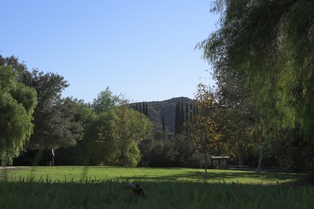 Enlarge photo 8