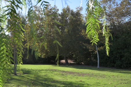 Enlarge photo 11
