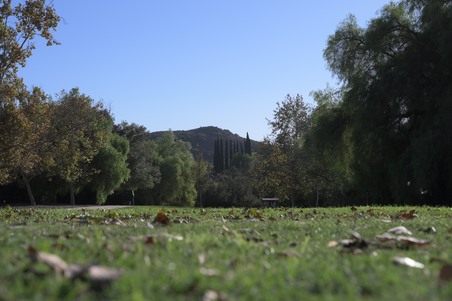 Enlarge photo 2