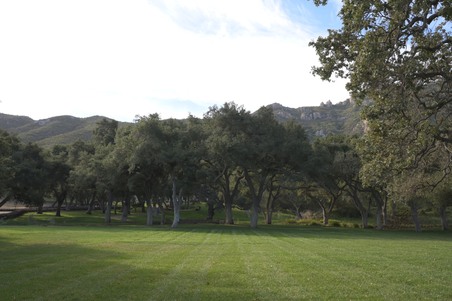 Enlarge photo 137