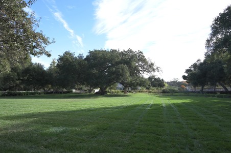 Enlarge photo 142