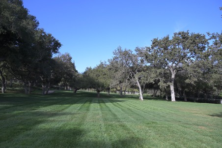 Brookfield_Farms