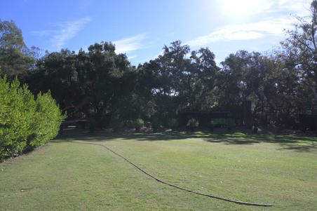 Enlarge photo 7
