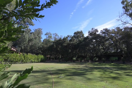 Enlarge photo 8