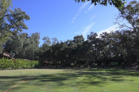 Enlarge photo 9