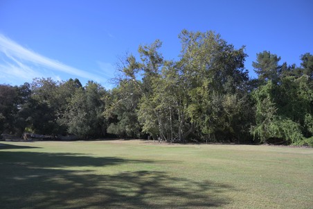 Enlarge photo 26