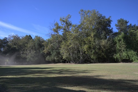 Enlarge photo 31