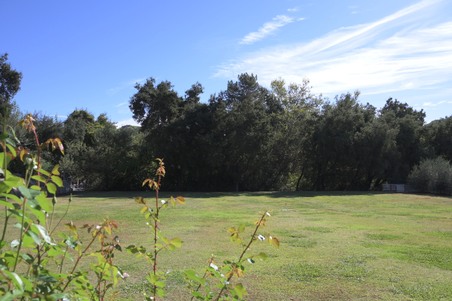 Enlarge photo 38