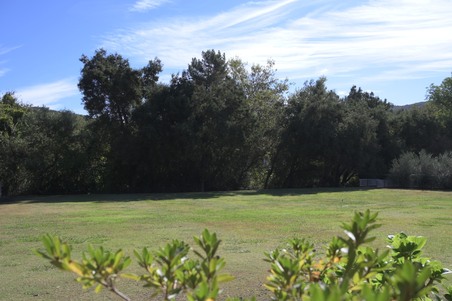 Enlarge photo 39