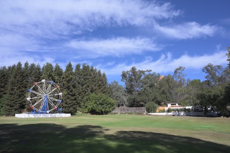 Enlarge photo 52
