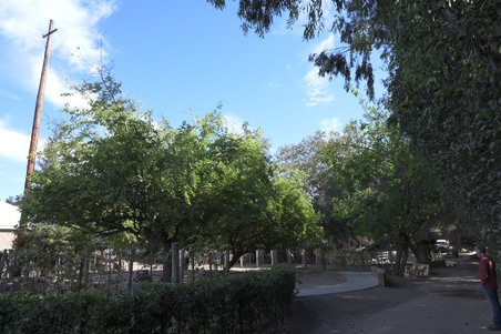 Enlarge photo 62