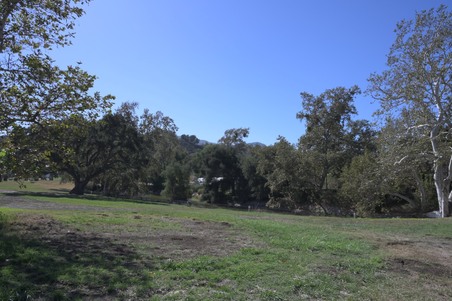 Enlarge photo 86