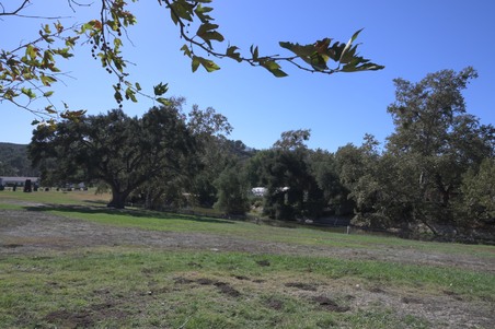 Enlarge photo 85