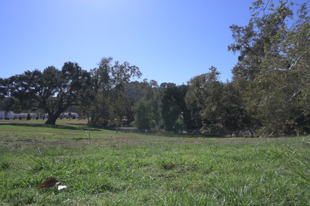 Enlarge photo 89