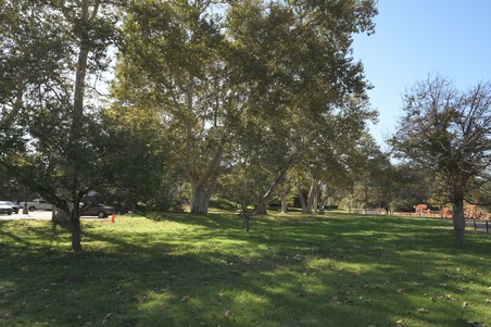 Enlarge photo 91