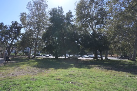 Enlarge photo 93