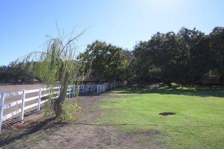 Enlarge photo 16