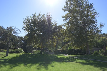 Enlarge photo 20
