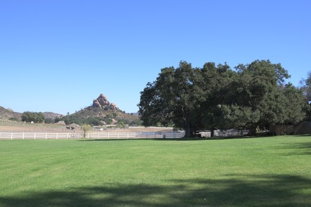 Enlarge photo 21