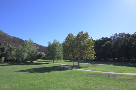 Enlarge photo 57