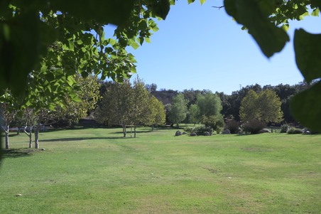 Enlarge photo 59