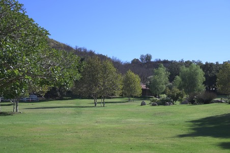 Enlarge photo 61