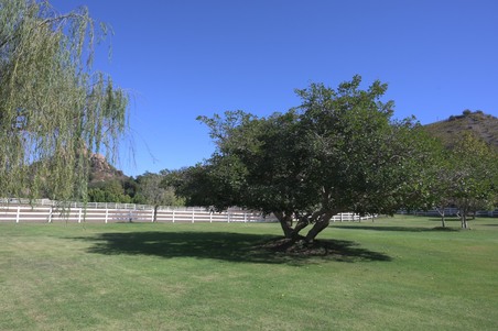 Enlarge photo 62