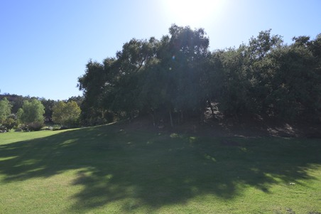 Enlarge photo 64