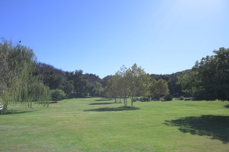 Enlarge photo 65