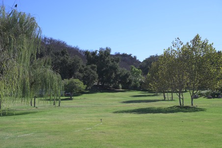 Enlarge photo 66