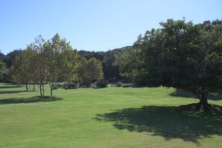 Enlarge photo 67
