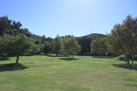 Enlarge photo 72