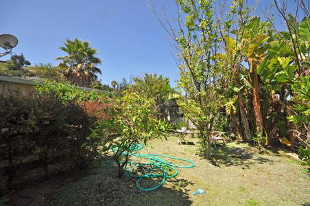 Enlarge photo 61