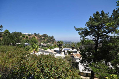 Enlarge photo 67