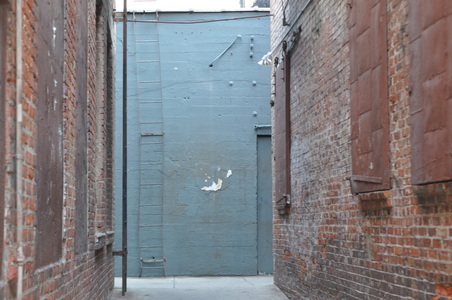 Enlarge photo 46
