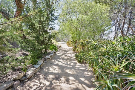 Enlarge photo 38