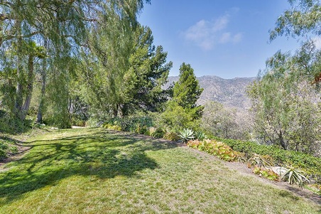 Enlarge photo 42