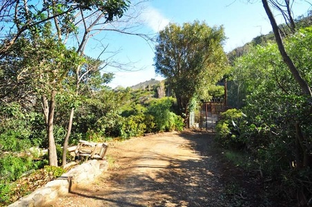 Enlarge photo 103